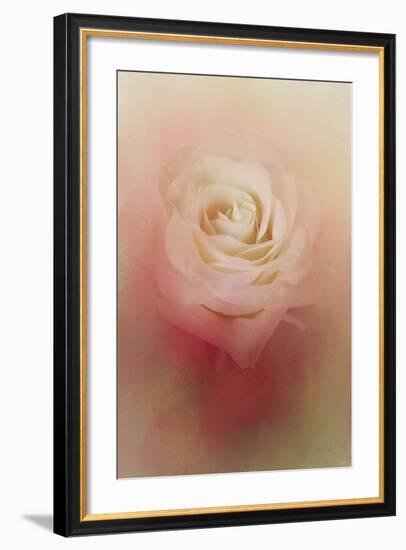 Valentine Rose-Jai Johnson-Framed Giclee Print