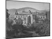 Photographic Print