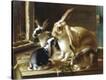 Stretched Canvas Print