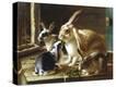 Stretched Canvas Print
