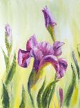 Irises, Oil Painting On Canvas-Valenty-Art Print