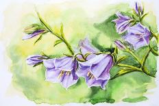 Wildflowers. Watercolor Painting-Valenty-Art Print