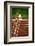 Valeri Borsov of the Soviet Union Winning the 100 Meter Finals During the Summer Olympics-John Dominis-Framed Photographic Print