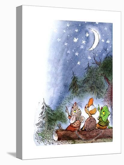 Stretched Canvas Print, , large