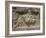 Valerian Before Shahpur, 241 to 272 AD, Naqsh-E Rustam, Iran, Middle East-Robert Harding-Framed Photographic Print