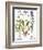 Valerian Flowers, 1613-Besler Basilius-Framed Giclee Print