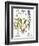 Valerian Flowers, 1613-Besler Basilius-Framed Giclee Print