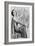 Valerie Hobson, British Actress, C1936-C1939-null-Framed Giclee Print