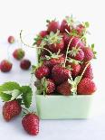 Organic Strawberries with Stems in a Dish-Valerie Janssen-Photographic Print