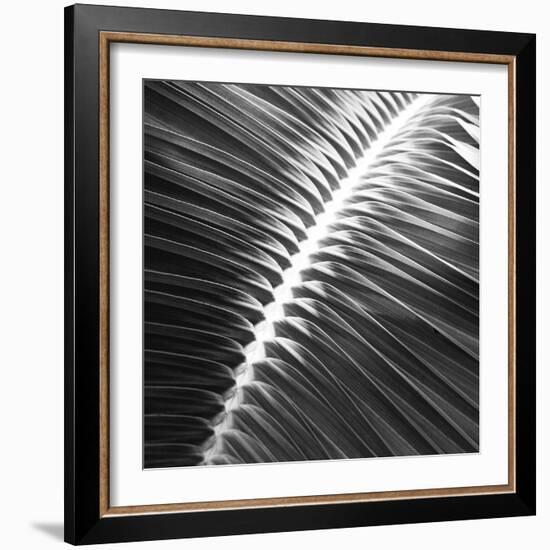 Valladolid Noir - Focus-Ben Wood-Framed Giclee Print