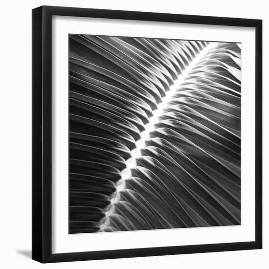 Valladolid Noir - Focus-Ben Wood-Framed Giclee Print