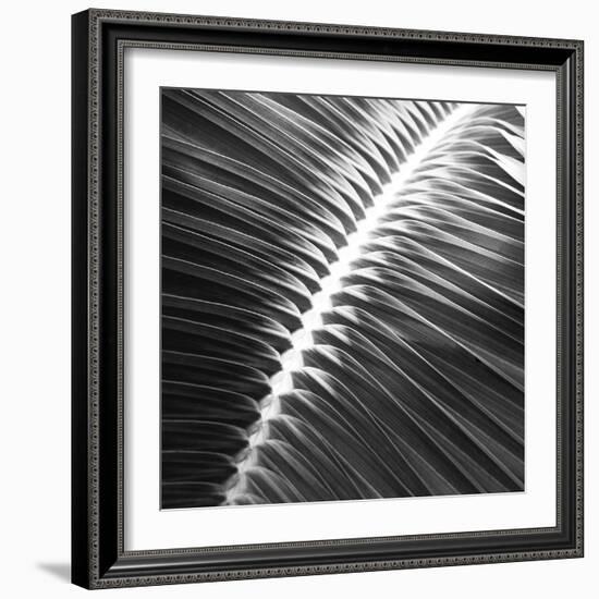 Valladolid Noir - Focus-Ben Wood-Framed Giclee Print