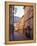 Valldemossa, Majorca, Spain-Rex Butcher-Framed Premier Image Canvas