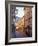 Valldemossa, Majorca, Spain-Rex Butcher-Framed Photographic Print