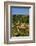 Valldemossa, Mallorca, Spain, Europe-Neil Farrin-Framed Photographic Print