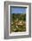 Valldemossa, Mallorca, Spain, Europe-Neil Farrin-Framed Photographic Print