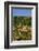 Valldemossa, Mallorca, Spain, Europe-Neil Farrin-Framed Photographic Print