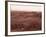 Valle De La Luna (Valley of the Moon), Atacama Desert, Chile, South America-Sergio Pitamitz-Framed Photographic Print