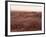 Valle De La Luna (Valley of the Moon), Atacama Desert, Chile, South America-Sergio Pitamitz-Framed Photographic Print