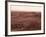 Valle De La Luna (Valley of the Moon), Atacama Desert, Chile, South America-Sergio Pitamitz-Framed Photographic Print