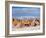 Valle de la Luna (Valley of the Moon), near San Pedro de Atacama, Atacama Desert, Antofagasta Regio-Karol Kozlowski-Framed Photographic Print