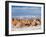 Valle de la Luna (Valley of the Moon), near San Pedro de Atacama, Atacama Desert, Antofagasta Regio-Karol Kozlowski-Framed Photographic Print