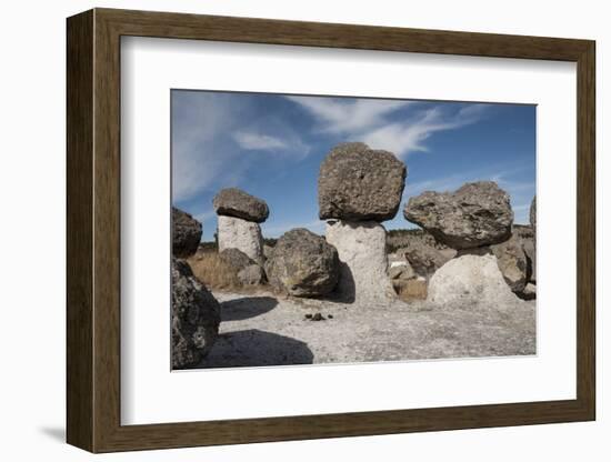 Valle de los Hongos (Mushroom Rocks) formed of volcanic ash, Creel, Chihuahua, Mexico, North Americ-Tony Waltham-Framed Photographic Print