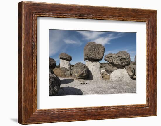 Valle de los Hongos (Mushroom Rocks) formed of volcanic ash, Creel, Chihuahua, Mexico, North Americ-Tony Waltham-Framed Photographic Print