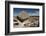 Valle de los Hongos (Mushroom Rocks) formed of volcanic ash, Creel, Chihuahua, Mexico, North Americ-Tony Waltham-Framed Photographic Print