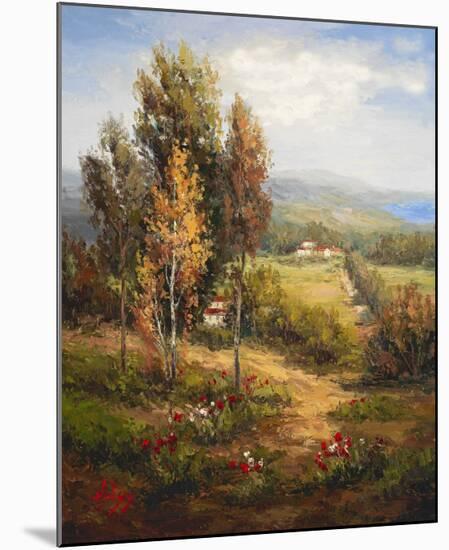 Valle Salerno-Hulsey-Mounted Art Print