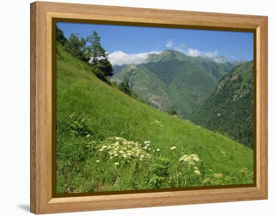 Vallee D'Aspe, Bearn, Pyrenees Atlantique, Aquitaine, France, Europe-David Hughes-Framed Premier Image Canvas