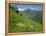 Vallee D'Aspe, Bearn, Pyrenees Atlantique, Aquitaine, France, Europe-David Hughes-Framed Premier Image Canvas