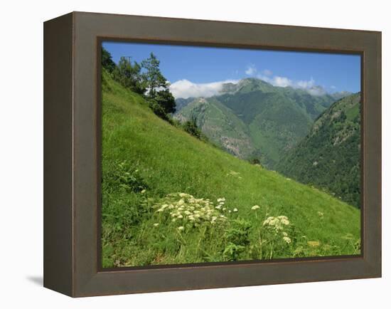 Vallee D'Aspe, Bearn, Pyrenees Atlantique, Aquitaine, France, Europe-David Hughes-Framed Premier Image Canvas