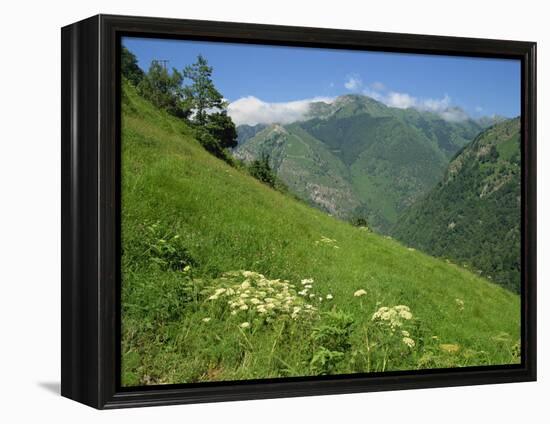 Vallee D'Aspe, Bearn, Pyrenees Atlantique, Aquitaine, France, Europe-David Hughes-Framed Premier Image Canvas
