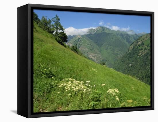 Vallee D'Aspe, Bearn, Pyrenees Atlantique, Aquitaine, France, Europe-David Hughes-Framed Premier Image Canvas