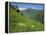 Vallee D'Aspe, Bearn, Pyrenees Atlantique, Aquitaine, France, Europe-David Hughes-Framed Premier Image Canvas