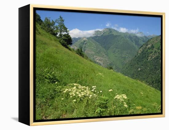 Vallee D'Aspe, Bearn, Pyrenees Atlantique, Aquitaine, France, Europe-David Hughes-Framed Premier Image Canvas