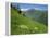 Vallee D'Aspe, Bearn, Pyrenees Atlantique, Aquitaine, France, Europe-David Hughes-Framed Premier Image Canvas