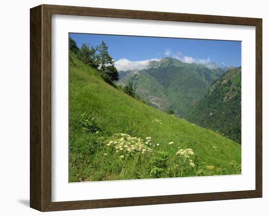 Vallee D'Aspe, Bearn, Pyrenees Atlantique, Aquitaine, France, Europe-David Hughes-Framed Photographic Print