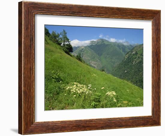 Vallee D'Aspe, Bearn, Pyrenees Atlantique, Aquitaine, France, Europe-David Hughes-Framed Photographic Print