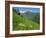 Vallee D'Aspe, Bearn, Pyrenees Atlantique, Aquitaine, France, Europe-David Hughes-Framed Photographic Print