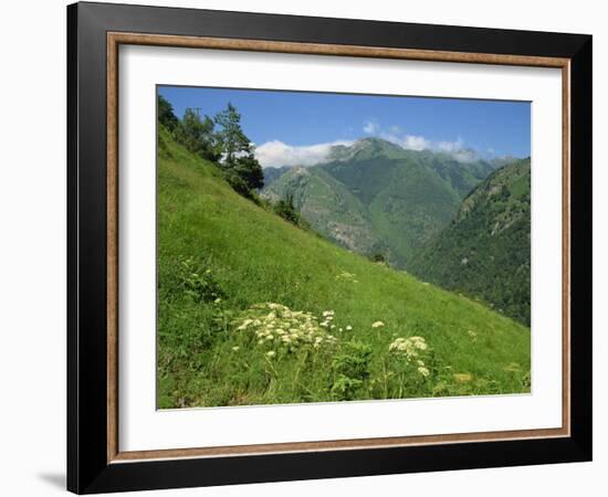 Vallee D'Aspe, Bearn, Pyrenees Atlantique, Aquitaine, France, Europe-David Hughes-Framed Photographic Print