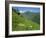 Vallee D'Aspe, Bearn, Pyrenees Atlantique, Aquitaine, France, Europe-David Hughes-Framed Photographic Print