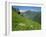 Vallee D'Aspe, Bearn, Pyrenees Atlantique, Aquitaine, France, Europe-David Hughes-Framed Photographic Print