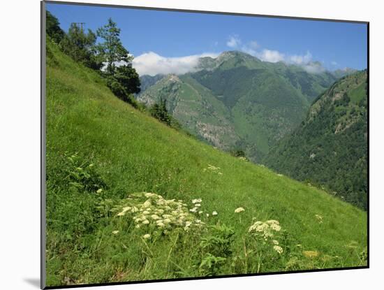 Vallee D'Aspe, Bearn, Pyrenees Atlantique, Aquitaine, France, Europe-David Hughes-Mounted Photographic Print