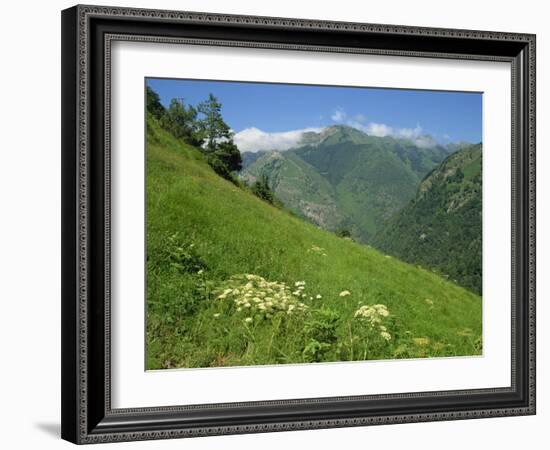 Vallee D'Aspe, Bearn, Pyrenees Atlantique, Aquitaine, France, Europe-David Hughes-Framed Photographic Print