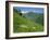 Vallee D'Aspe, Bearn, Pyrenees Atlantique, Aquitaine, France, Europe-David Hughes-Framed Photographic Print