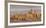 Valletta Skyline Panorama at Sunset with the Carmelite Church Dome and St. Pauls Anglican Cathedral-Neale Clark-Framed Photographic Print