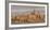 Valletta Skyline Panorama at Sunset with the Carmelite Church Dome and St. Pauls Anglican Cathedral-Neale Clark-Framed Photographic Print