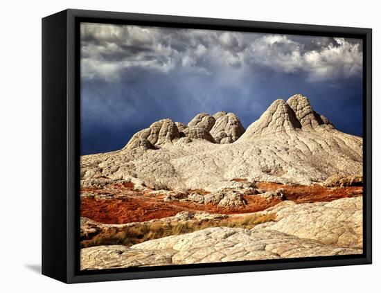 Valley Beauty I-David Drost-Framed Premier Image Canvas